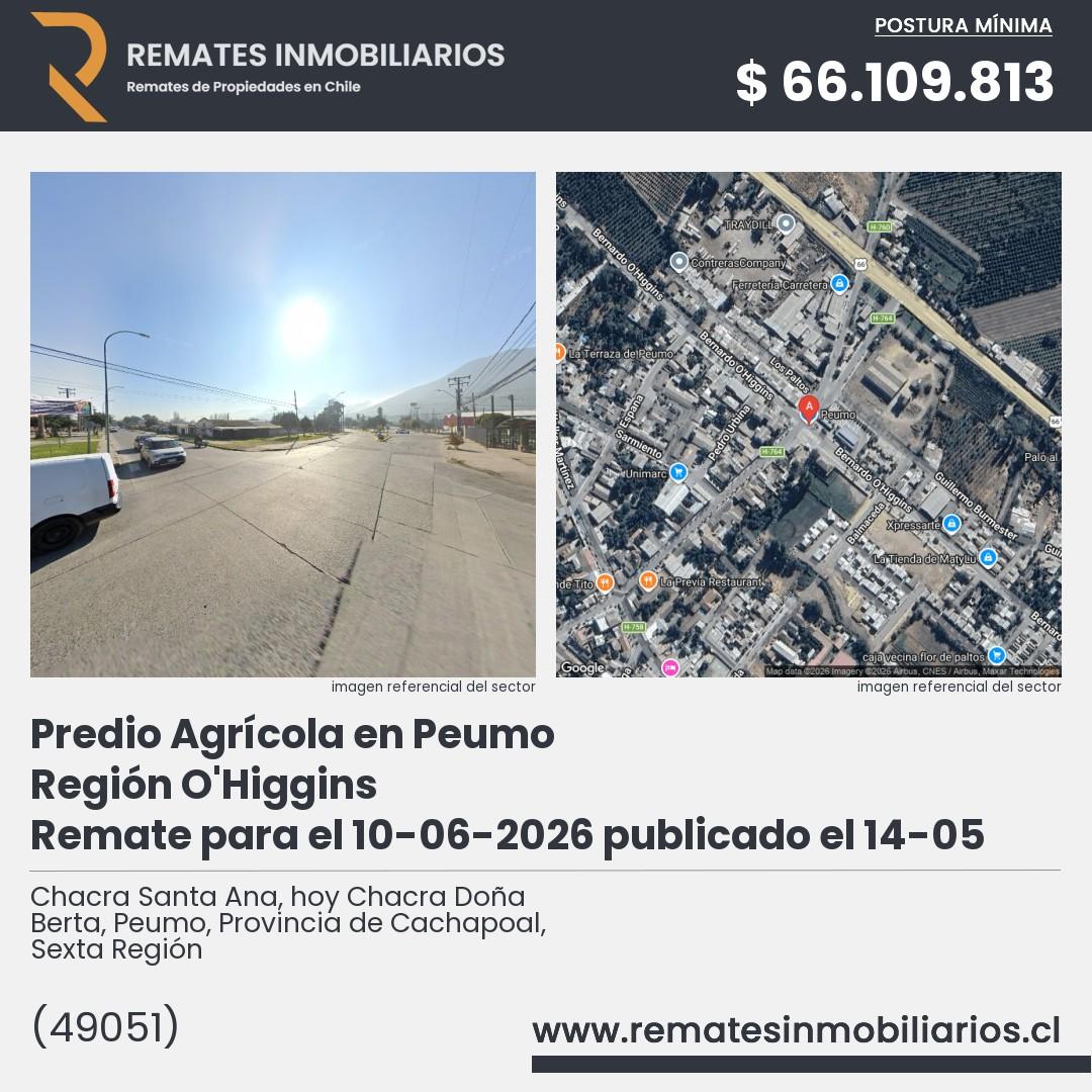 Imagen ficha Chacra Santa Ana, hoy Chacra Doña Berta, Peumo, Provincia de Cachapoal, Sexta Región