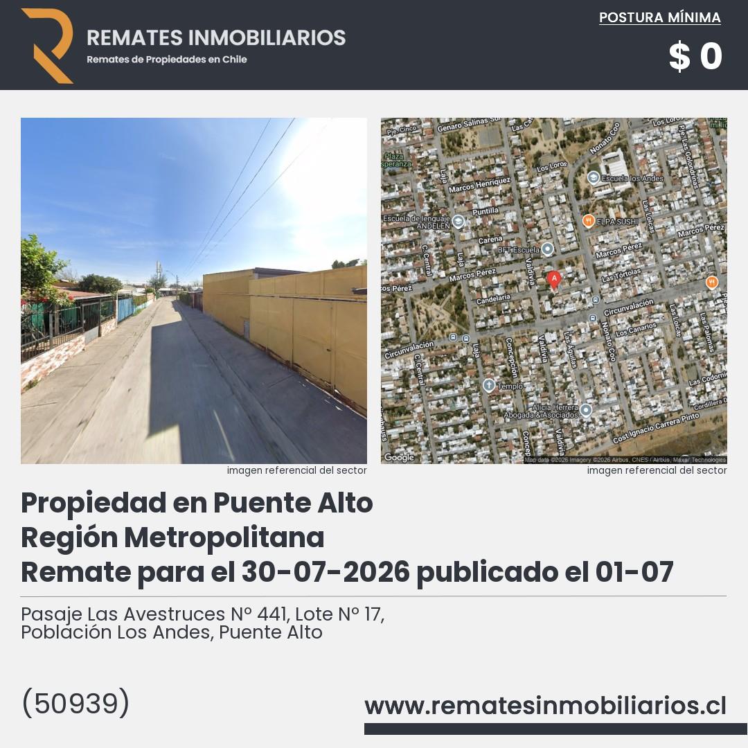 Imagen ficha Pasaje Las Avestruces Nº 441, Lote Nº 17, Población Los Andes, Puente Alto