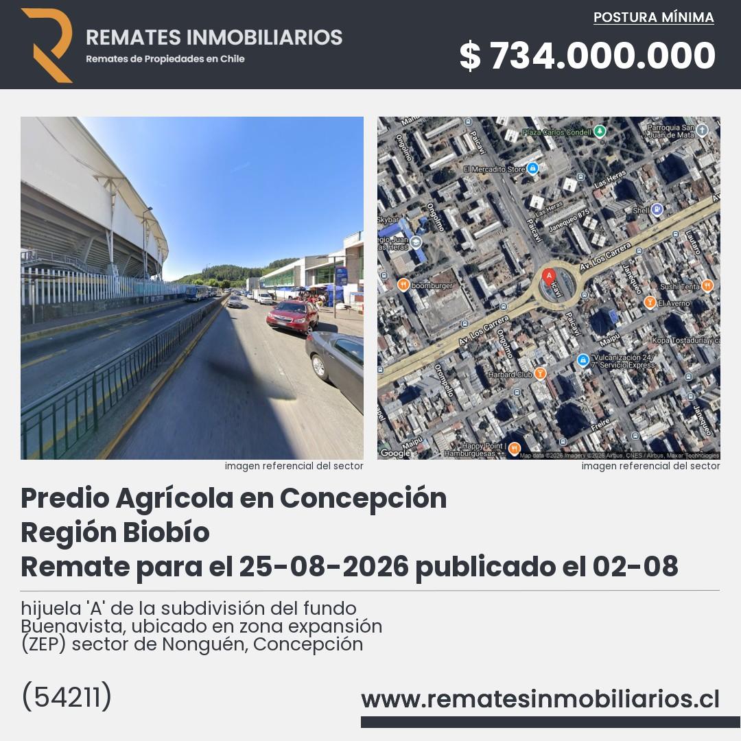 Imagen ficha hijuela 