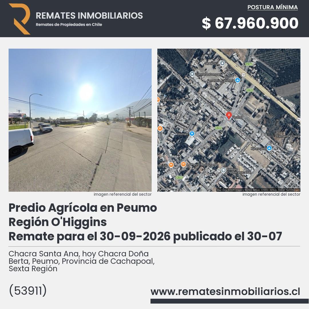 Imagen ficha Chacra Santa Ana, hoy Chacra Doña Berta, Peumo, Provincia de Cachapoal, Sexta Región