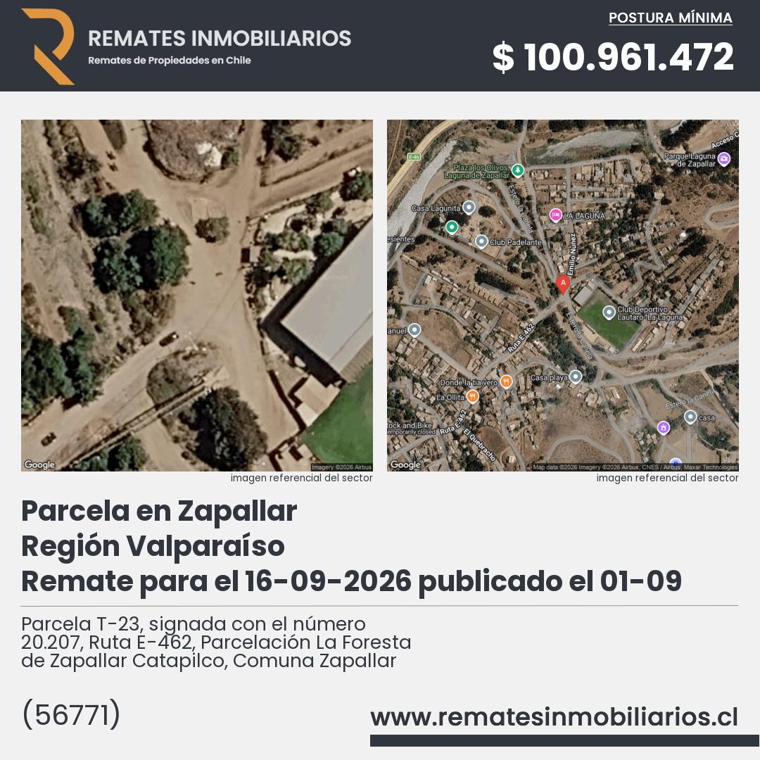 Imagen ficha Parcela T-23, signada con el número 20.207, Ruta E-462, Parcelación La Foresta de Zapallar Catapilco, Comuna Zapallar
