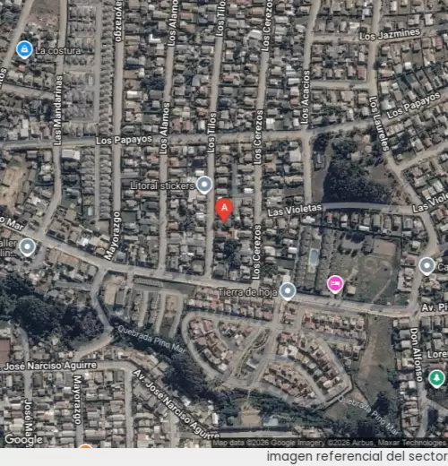 Vista satelital referencial