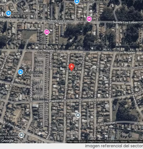 Vista satelital referencial