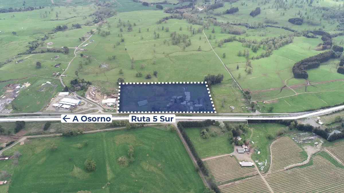 Imagen publicada por Tattersall: Terreno en Osorno